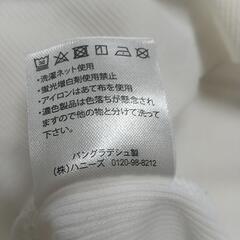 ハニーズ七分丈の画像