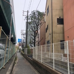 庭木のお手入れ - 堺市
