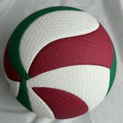 molten  モルテン　バレーボール 5号球 V5M5000 FIVBの画像