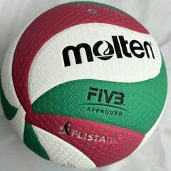 molten  モルテン　バレーボール 5号球 V5M5000 FIVBの画像