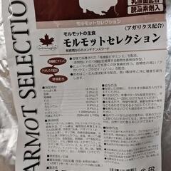 モルモットの主食の画像