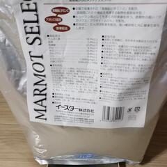 モルモットの主食