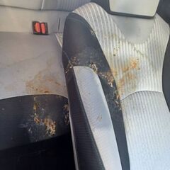 車内クリーニング　ボディコーティング