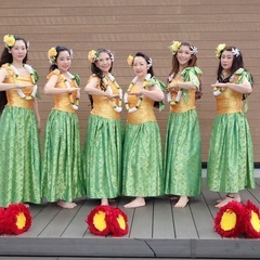 🌺🌈Maika'i Ka Pilina Y&R Hula(Y&Rフラスタジオ)のご案内の画像