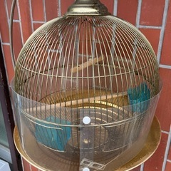 鳥かご 鳥かごスタンド セット　中古の画像