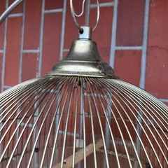 鳥かご 鳥かごスタンド セット　中古の画像