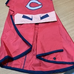 カープぽんちよ