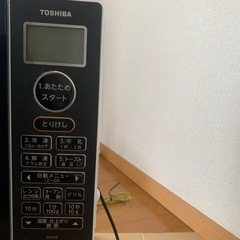 ジャンク品 東芝 オーブンレンジの画像