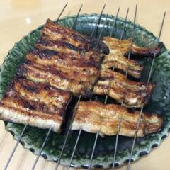 ⑬うなぎ釣りなら鰻遊会✨　　LINEOpenChat　　　　　　　　　　メンバー募集中❗ - 東近江市
