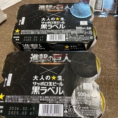 サッポロ黒ラベル　500ml12本
