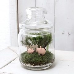 ポップジャー　保存瓶　花器　2サイズセットの画像