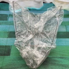 ニンジャ250R純正スクリーンの画像
