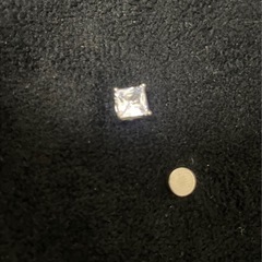 フェイクピアス⑨