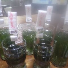 ペットボトルに入れた水草3種類の画像