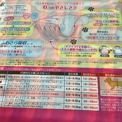 薩摩川内(伊佐市・さつま町対応)) 小型犬用品　ペット用オムツ(マナーウエア　Sサイズ）、チュール等　おまけ付きの画像