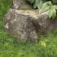 庭石無料にて差し上げます。の画像
