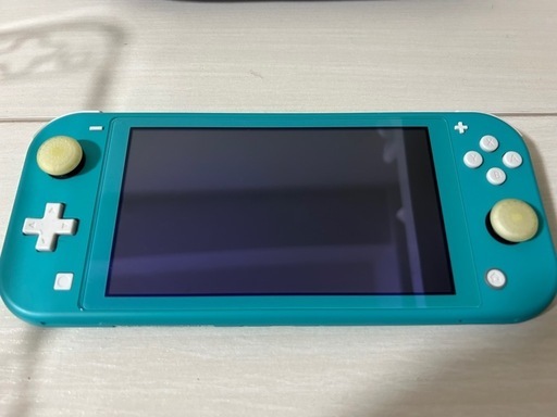 Nintendo Switchライト ケース付属2点