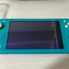 Nintendo Switchライト ケース付属2点 