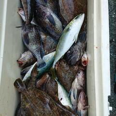 釣り仲間募集 - 友達