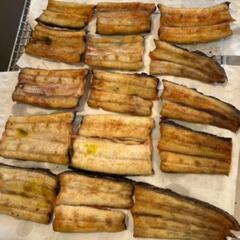 ⑭うなぎ釣りなら鰻遊会✨　　LINEOpenChat　　　　　　　　　　メンバー募集中❗ - メンバー募集