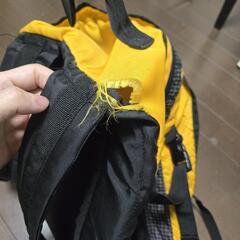 リュックサック 黄色の画像