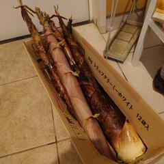 真竹/ハチク(淡竹)　タケノコ2kg分　筍　たけのこの画像