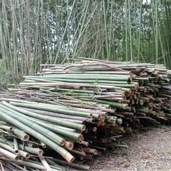 切ってあるものでも構いません