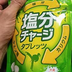 塩分チャージシークヮーサー味　日曜日【14 時〜16時30分】