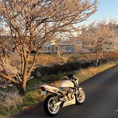 ホーネット250 大型と交換希望！の画像