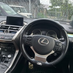 NX 300h Fスポーツの画像