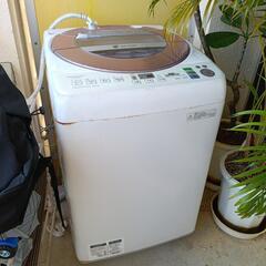洗濯機 シャープ 8kg ES-GVBOM イオンコート