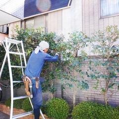 庭師　植木屋　　正社員・アルバイト募集　昇給ありの画像