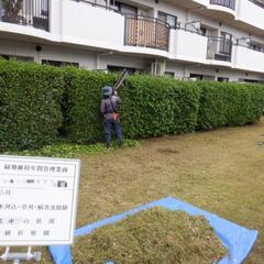 庭師　植木屋　　正社員・アルバイト募集　昇給ありの画像