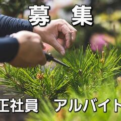 庭師　植木屋　急募！　正社員・アルバイト募集