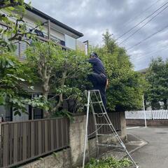 庭師　植木屋　　正社員・アルバイト募集　昇給ありの画像