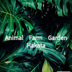 Animal Interaction　Shimanami …