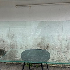 90㎝ガラス水槽🍉プロフ必読