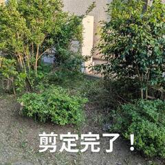 刈払い、草むしり