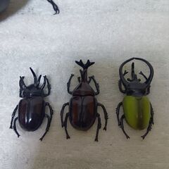 カブトムシフィギュアおまとめ６点セットの画像