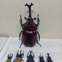 カブトムシフィギュアおまとめ６点セット