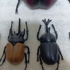 カブトムシフィギュアおまとめ６点セットの画像
