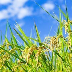 ★田舎や農業に興味ある方募集します★～全国～