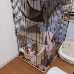 キャットゲージ