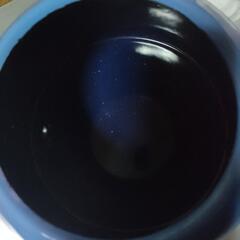 もちごめたさんとお話し中ケトルの画像