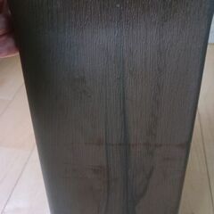 2000円　サンセベリア　サンスベリア　観葉植物　室内グリーン　インテリアグリーンの画像