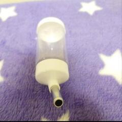 水飲み①の画像