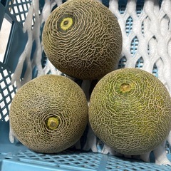 訳アリ🍈メロン

