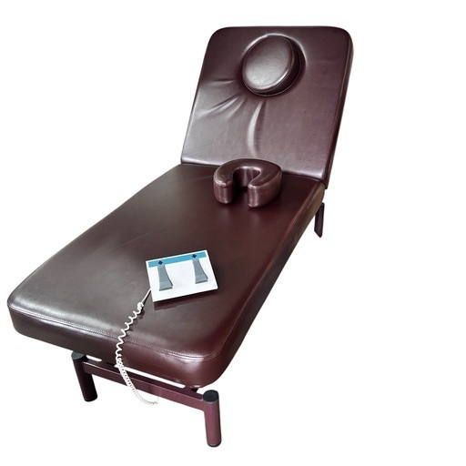 電動エステベッド 施術台 電動昇降式 リクライニング機能 高さ調節 マッサージベッド