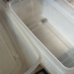 衣装ケースとプラスチック棚の画像