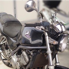 バリオス1型